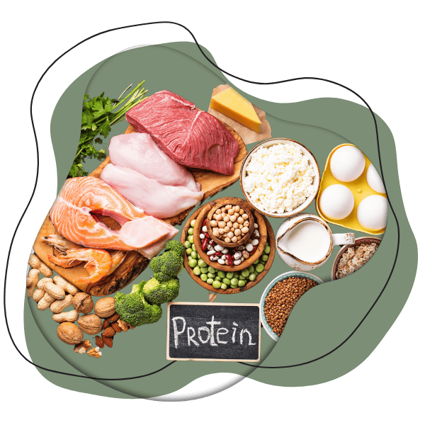 Protein food options for bipolar disorder